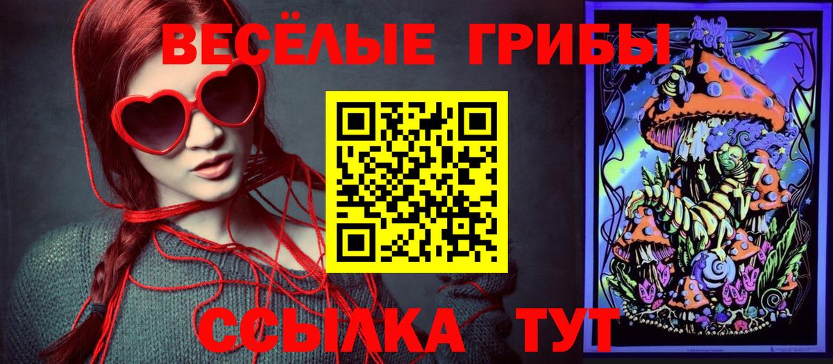 Галлюциногенные грибы Psilocybe Уфа